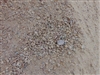 Palm Springs Gold Decomposed Granite