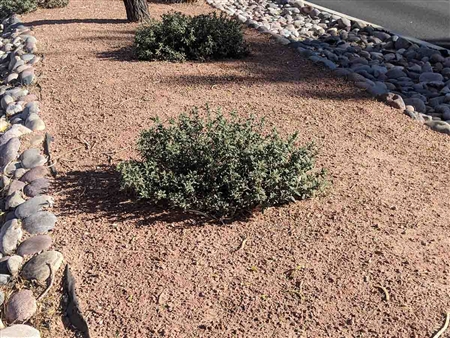 Desert Pink Pathway Decomposed Granite 3/8" Minus