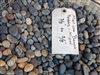 Mixed Colors Mexican Beach Pebble 1/2" - 1" - pebbles stone