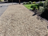 Lodi Gold Pea Gravel Sample - Landscape Rocks