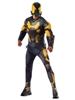 Rubie's Marvel Ant-Man Deluxe Muscle Chest Adult Yellow Jacket Costume, XL