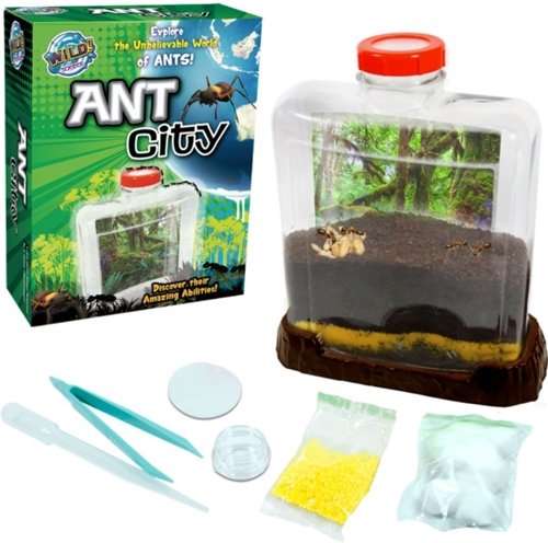 WILD! SCIENCE ANT CITY KIT