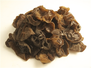 Wood Ear - Auricularia Polytricha