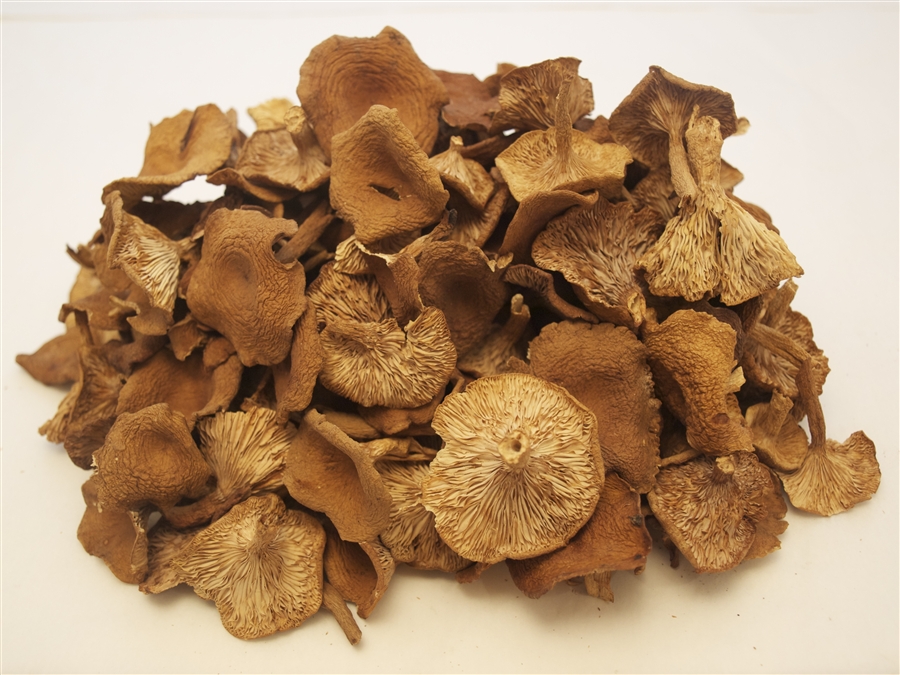 Dried Candy Caps - Lactarius rubidus