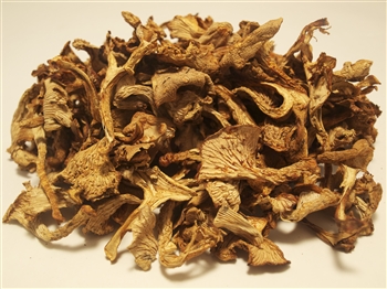 Dried Chanterelles - Cantharellus Formosus