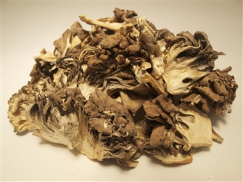 Dried Maitake - Grifola Frondosa