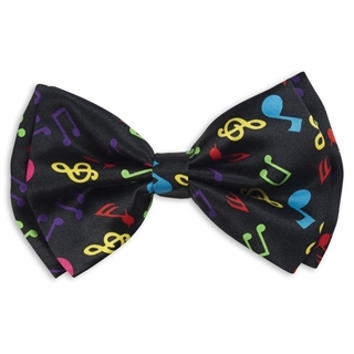 High Notes Colorful Bow Tie