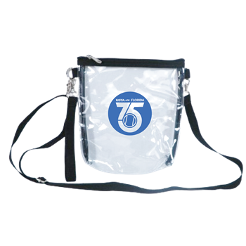 B3067 - The Clear Handbag or Purse