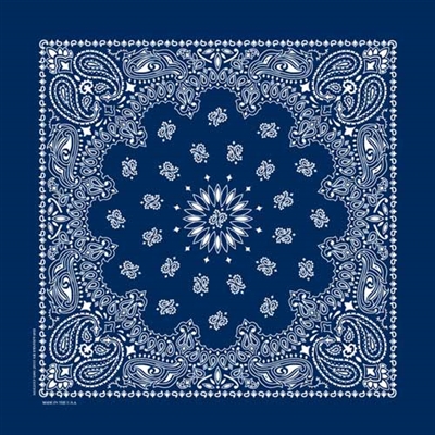 NAVY PAISLEY BANDANA