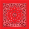 Red Paisley Bandana