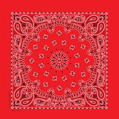 Red Paisley Bandana