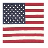 American Flag Bandana