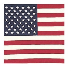 American Flag Bandana