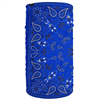 Motley Tube - Fleece Lined - Blue Paisley