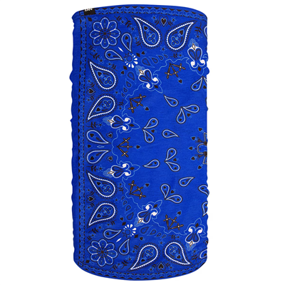 Motley Tube - Fleece Lined - Blue Paisley