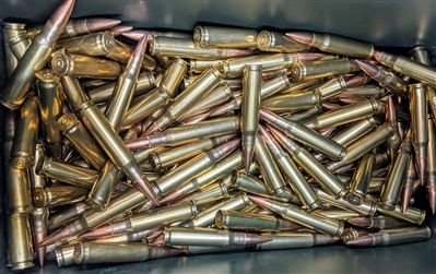 5pk-.308 Dummy Rounds