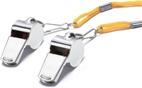 Metal Whistles with Lanyards (Set of 2)
