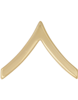 No-Shine Rank Private (E-2)-Set of 2