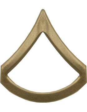 No-Shine Rank Private First Class (E-3)-Set of 2