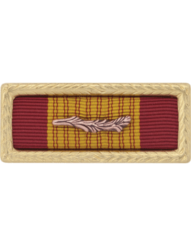 Vietnam Cross of Gallantry with Palm Army Unit Citation (Ribbon and Frame)