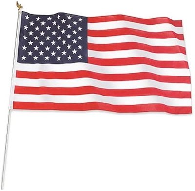 3'X5' FLAG KIT WITH POLE
