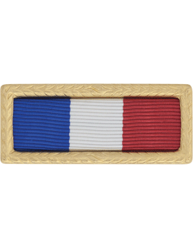 Philippine Presidential Army Unit Citation (Ribbon and Frame)