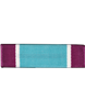 U.S. Coast Guard Distinguished Service Medal Ribbon