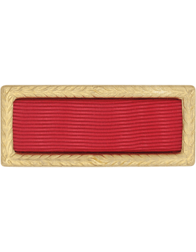Army Meritorious Unit Award (Ribbon and Frame)