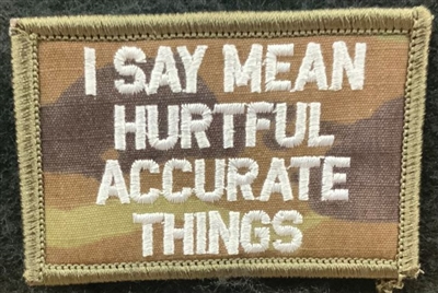 I SAY MEAN AND HURTFUL THINGS PATCH