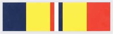 COMBAT ACTION RIBBON DECAL