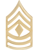 No-Shine Rank First Sergeant (E-8)-Set of 2