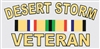 DESERT STORM VETERAN W/RIBBONS DECAL