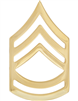 No-Shine Rank Sergeant First Class (E-7)-Set of 2