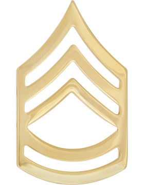 No-Shine Rank Sergeant First Class (E-7)-Set of 2