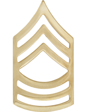 No-Shine Rank Master Sergeant (E-8)-Set of 2