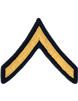 Army Dress Chevron Gold on Blue E-2 Private (Pair)