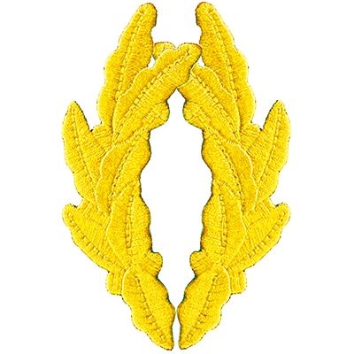 IRON ON 2pc SCRAMBLED EGGS  GOLD PATCH