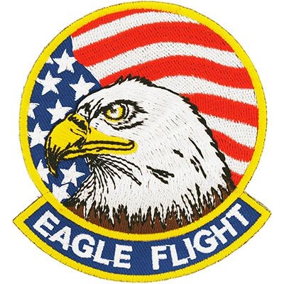 IRON ON USAF EAGLE FLIGHT PATCH