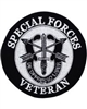IRON ON SPECIAL FORCES VETERAN PATCH