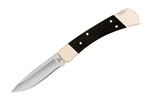 Buck Knives - Folding Hunter - 0110BRS-B