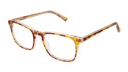 PERRY ELLIS 443