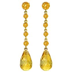 ALARRI 23 Carat 14K Solid Gold New View Citrine Earrings