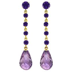 ALARRI 23 CTW 14K Solid Gold New View Amethyst Earrings