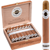 ASHTON CLASSIC DOUBLE MAGNUM