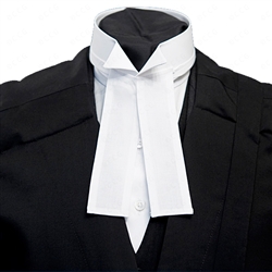 Winged Collar Shirt Cover