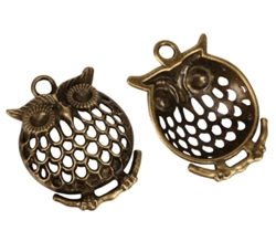 Beautiful Owl Charms