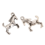 Beautiful Horse Charms