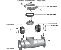 Ames & Colt Backflow Prevention Cam Check Assembly - 4" 1000SS DCV