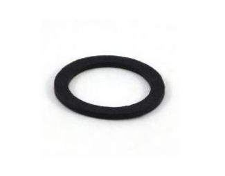 BV UNION GASKET 3/4"