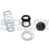 Watts Backflow Prevention 1st or 2nd Check Kit - 2" RK 719 CK4